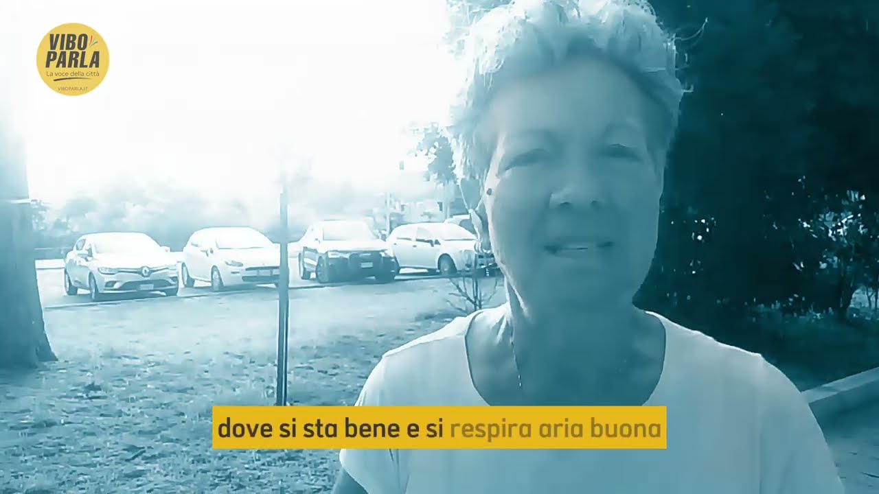 "È uno dei pochi polmoni dove respiri buona aria": l'appello per il parco | Vibo Parla